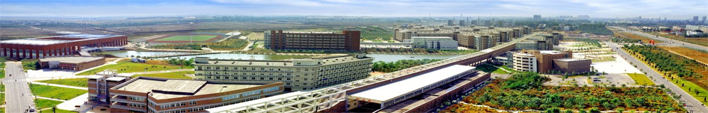 �о�������